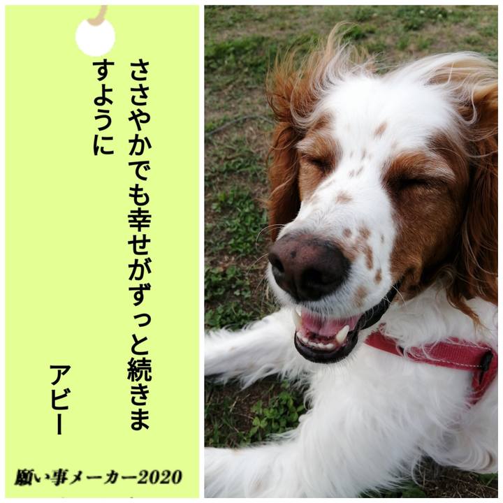 F3bed612 9752 4d9c 97c4 47237f6328ef 1594130535017