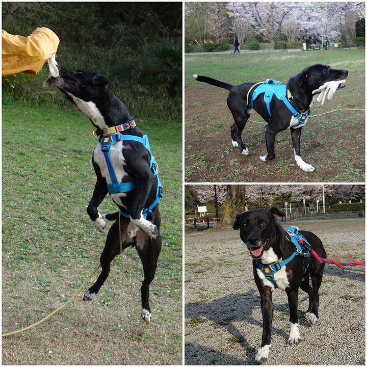 F3bedbca ed28 472d ab05 9b8824eb1929 1616807863016