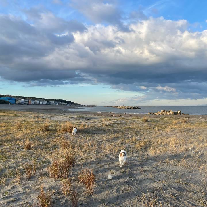 F3befe18 742d 42fd 9d56 2b7ab4e4605d 1731110451333