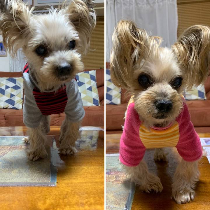 F3bf1521 fbc0 4bef 96e2 43f1eaacbe0d 1673344566082