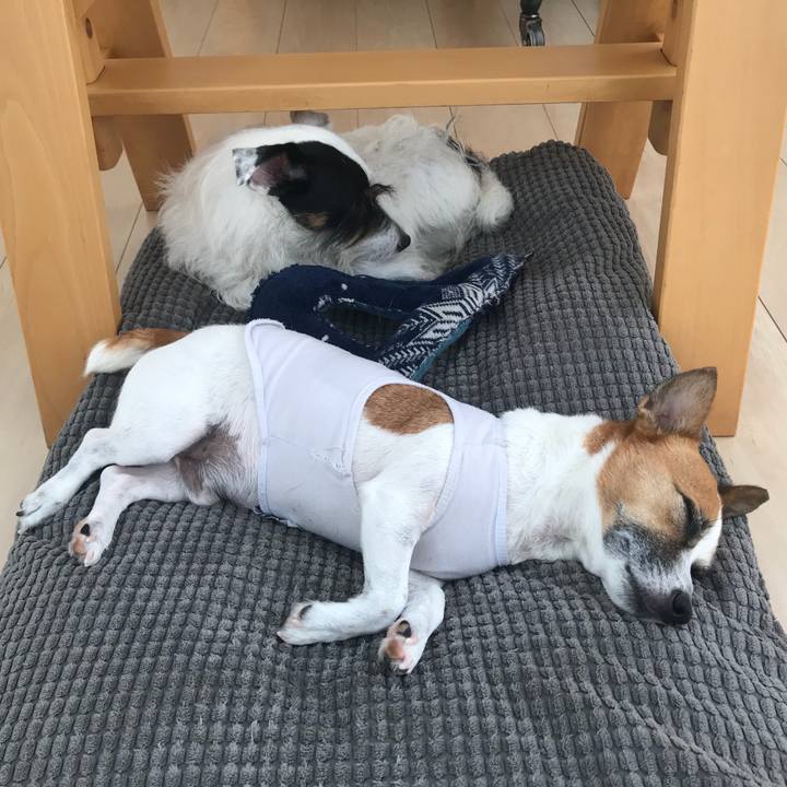 F3bf16a4 41e2 4b06 8b03 faa5272c38c4 1534301677328