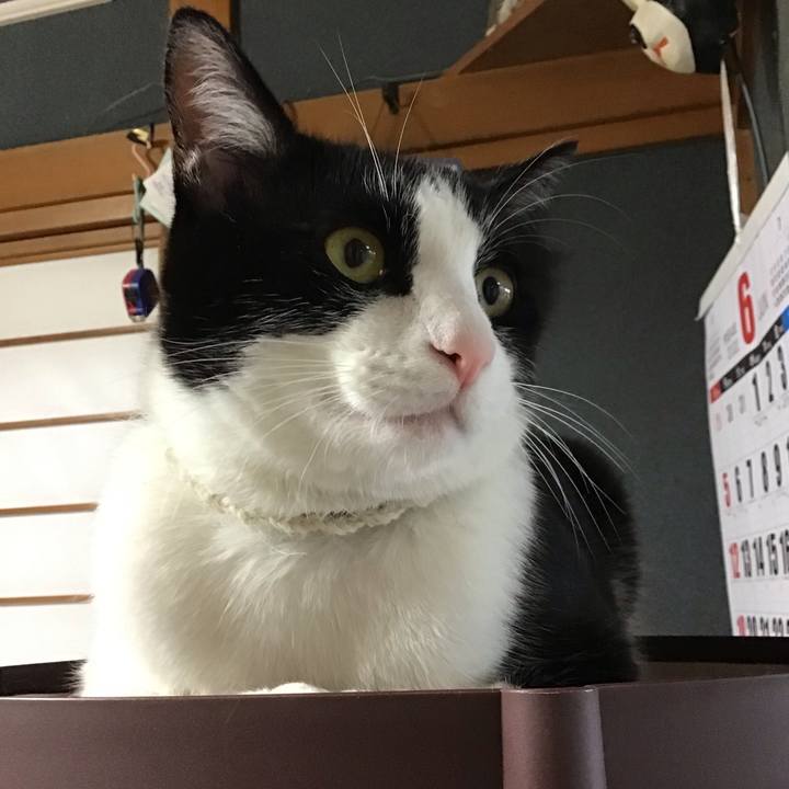 F3bf3e89 3268 4bc6 9aa7 359999a01c41 1654588271468