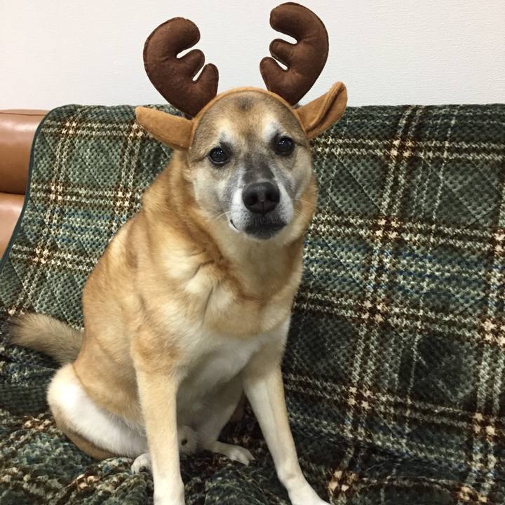 F3bf4401 5853 4305 aa2b 64e334166514 1577182971612