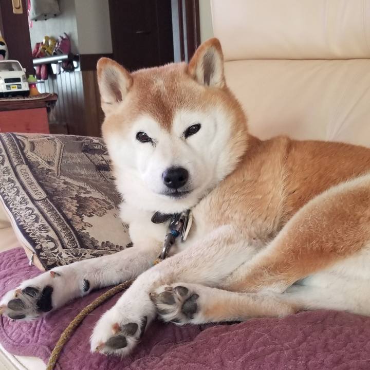 F3bf7a78 24c0 4d1d a616 45f051c97db5 1696288276680