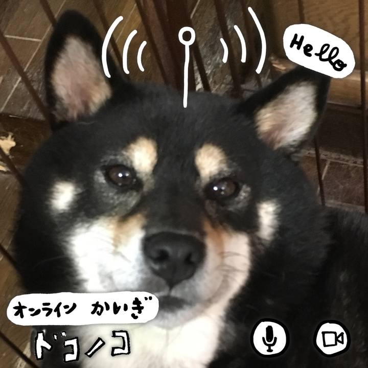 F3bfaaa2 7b68 4c69 be9d cae543f0dcc4 1590759776102