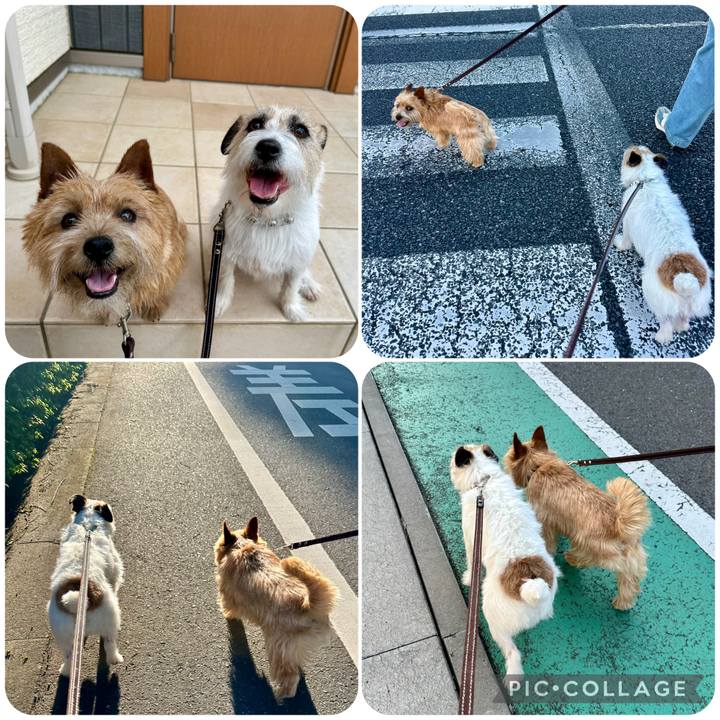 F3bfe3c3 bfd7 4e2b 8712 91a02fc86de5 1745979449450