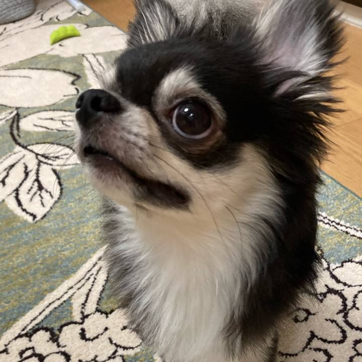 F3bfe449 7e5c 405f abdc b799250154c9 1628865133860