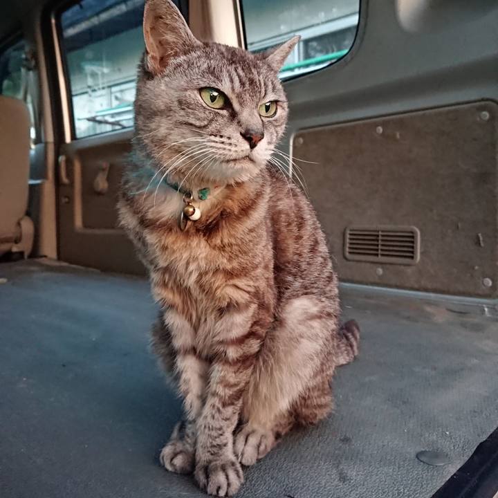 F3c022c2 c872 4930 9eb1 3364a3779642 1568233427431