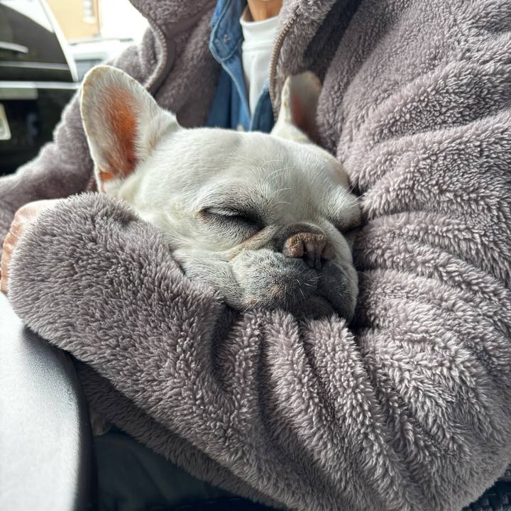 F3c04a9a 9cc7 452c 8ae0 6f0109021340 1774219345512