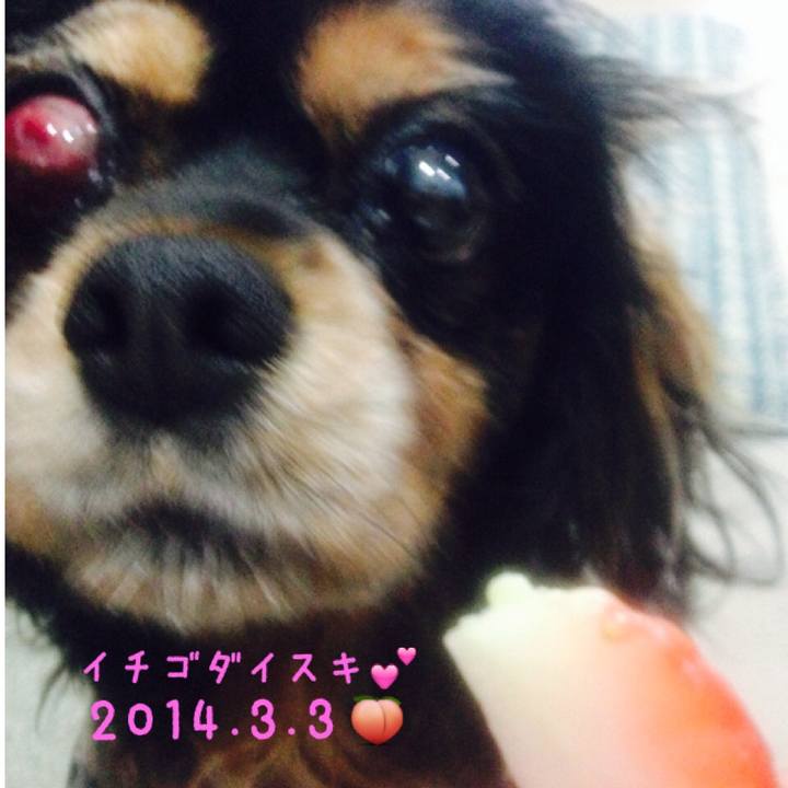 F3c05e36 4a30 4844 a44c dcf70874c074 1517065139919