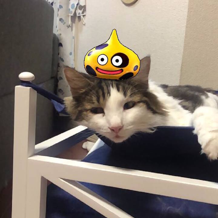 F3c078f1 80fc 4f22 b2ba f7b80366a495 1568452849883