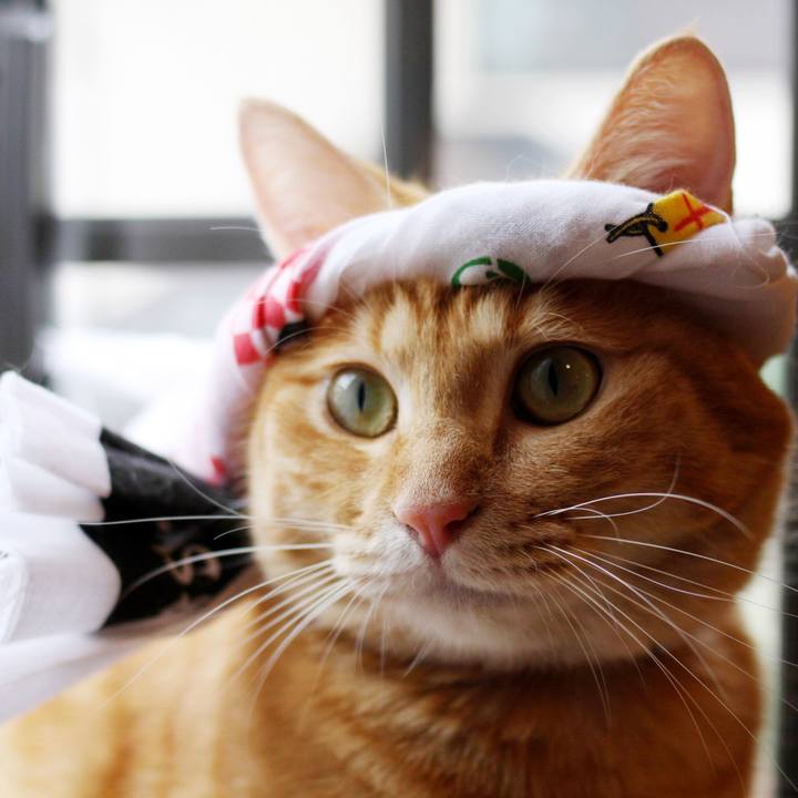 F3c08b9d 4b16 455c b255 323ca14cb08d 1720051075453