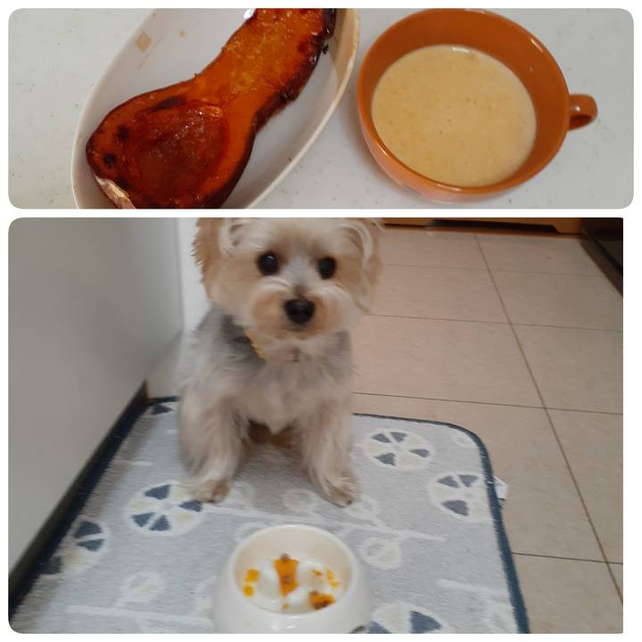 F3c09592 20af 4c59 80ec 9ea44f90d05f 1667963357349