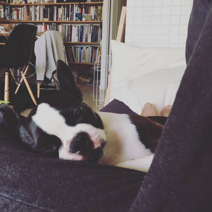 F3c095d6 fa36 4353 9c10 3676e4fa0691 1540856889961