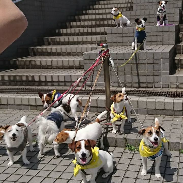 F3c0a993 4323 4d79 bea7 2d31eb2267a5 1526116982754