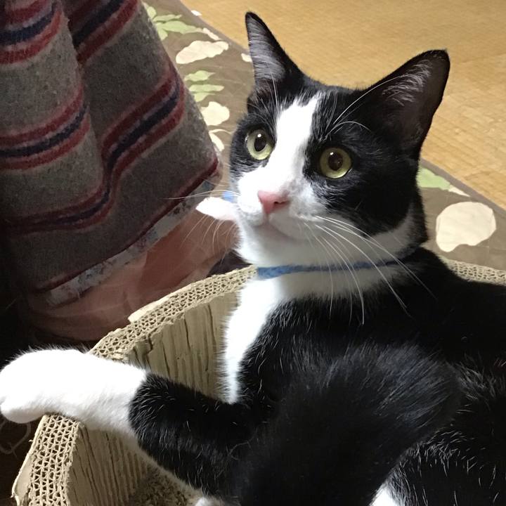 F3c0d8d6 d1b3 4cb9 8d3b edc4b016ed31 1697367261481