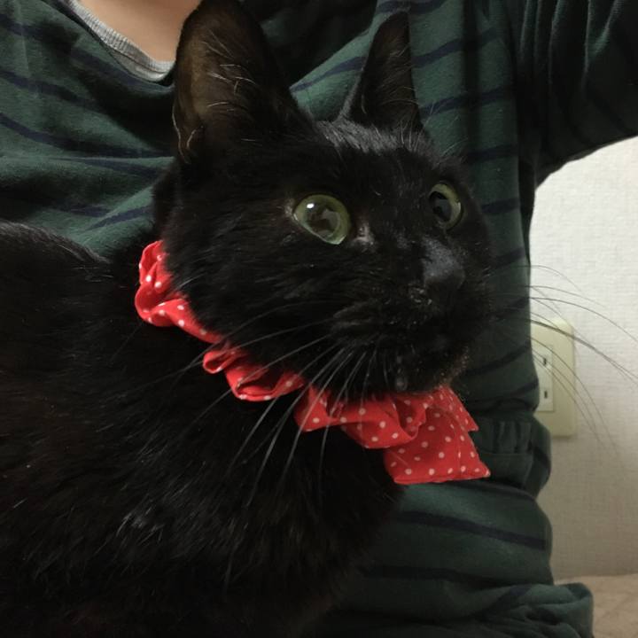 F3c0ef1c cfc1 425c bf07 80ffa01eb94b 1574593907242