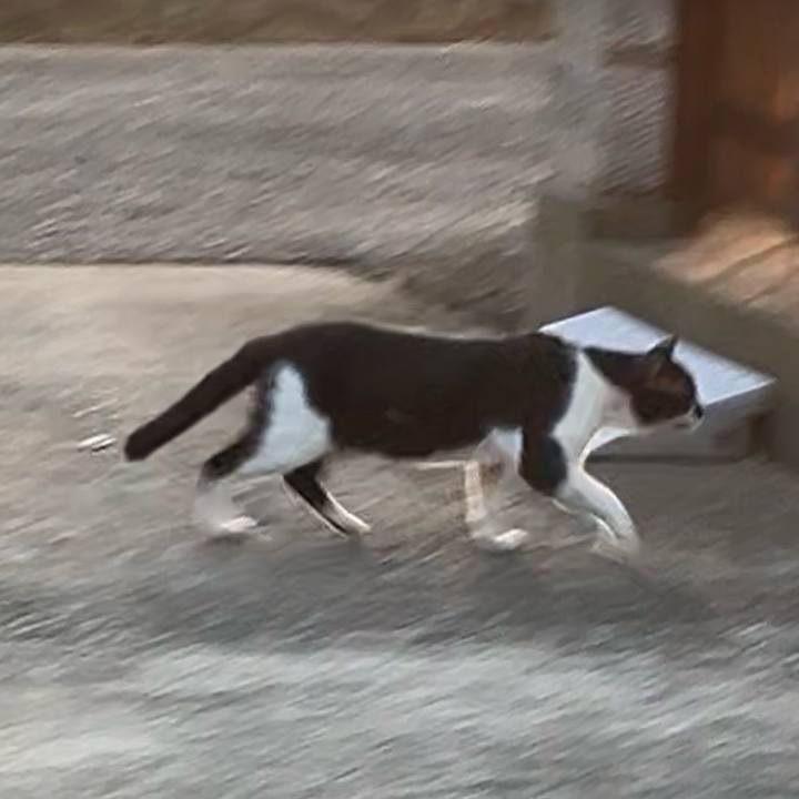 F3c1077e d756 4052 a9e4 cc84c872edf3 1762091593130