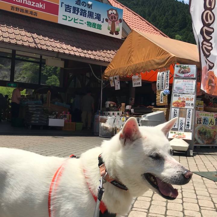 F3c14882 e213 4b2f aea0 0f0c01994799 1528023998319