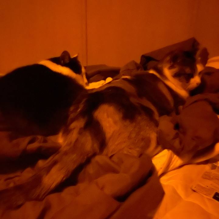 F3c15428 2fff 4136 ac07 c3d531448dc9 1652208005330