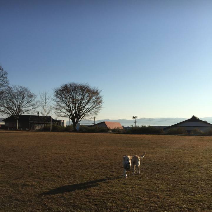 F3c15c0b ce7a 4127 879f b9f320423dfa 1575956481760