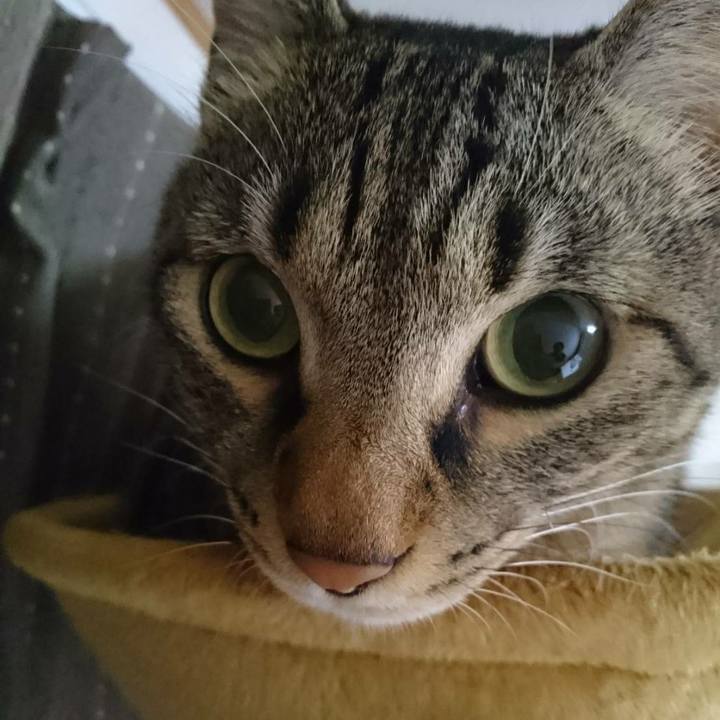 F3c1644e c1ea 40df 8255 b00c5401fb1d 1507760603624