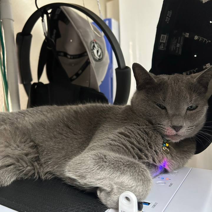 F3c16eae d337 4c83 9231 dacc013ca16e 1680240675278