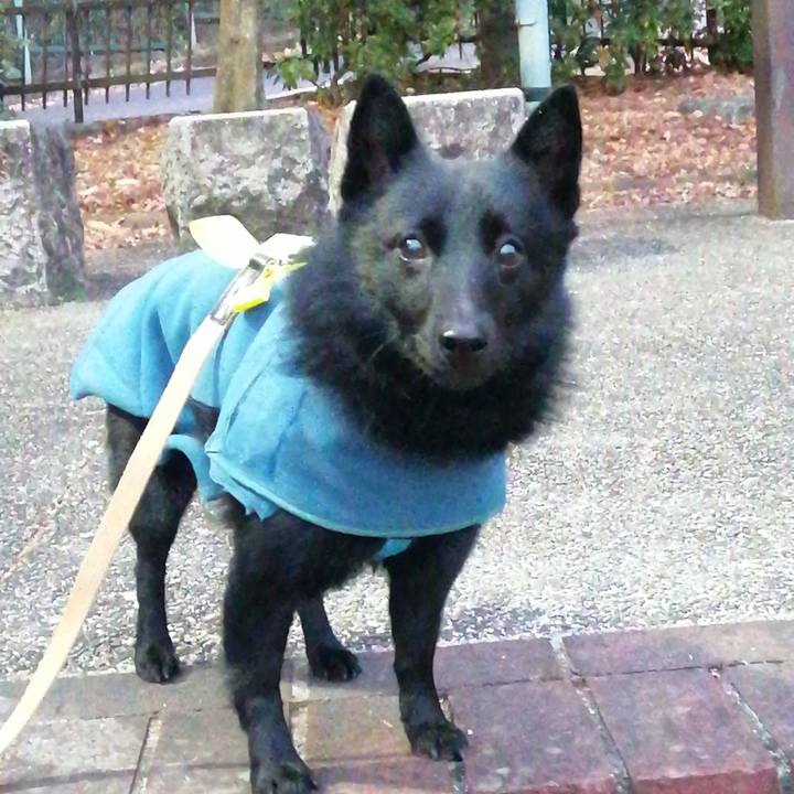 F3c16f14 41f6 4699 bbc3 443c57c19074 1641419812384