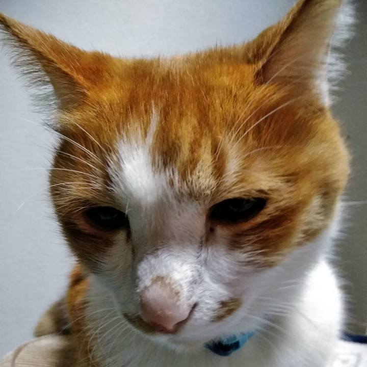 F3c17694 b674 4a20 b3e0 7f93b948a6b0 1583758716107