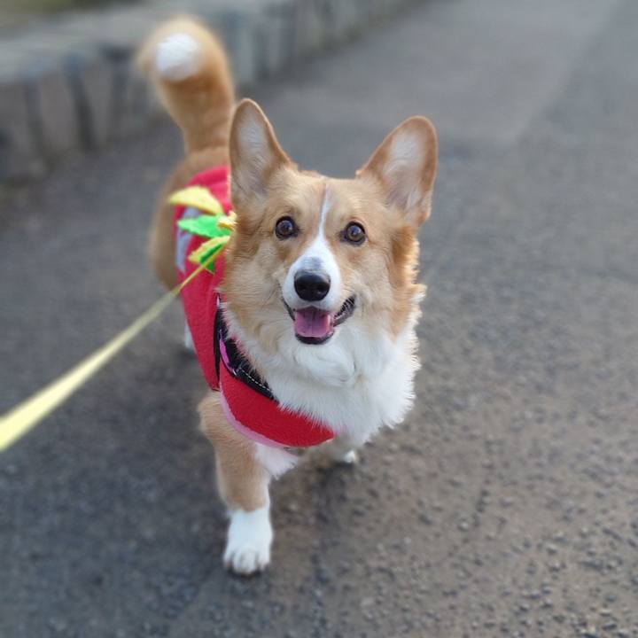 F3c19660 b61d 4eb7 afee b70f5a327114 1774568649097