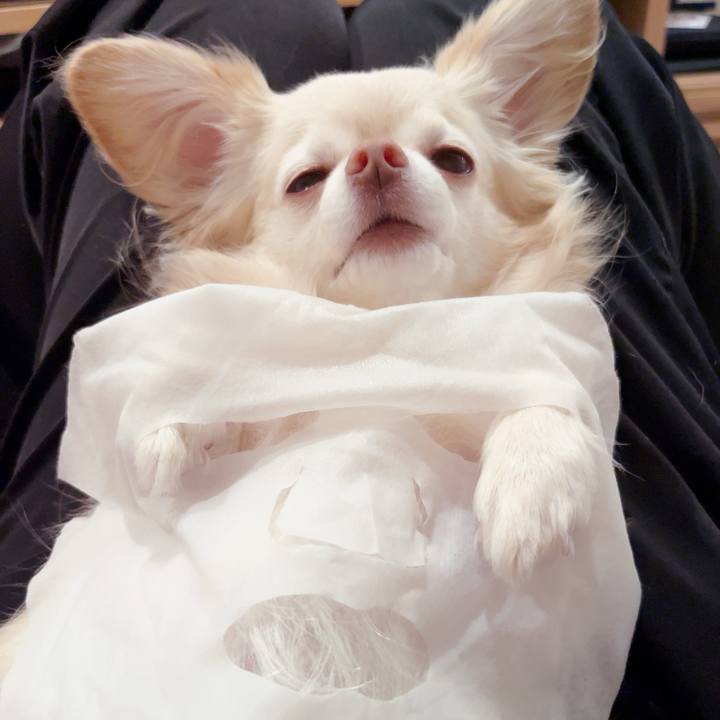 F3c1bb9e 3b8c 4b88 a16e 7eba5eb40e22 1754311659138