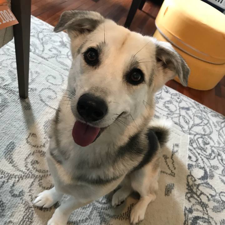 F3c1e1e1 0c44 45d3 afe5 80eb7735eb6a 1520056770119