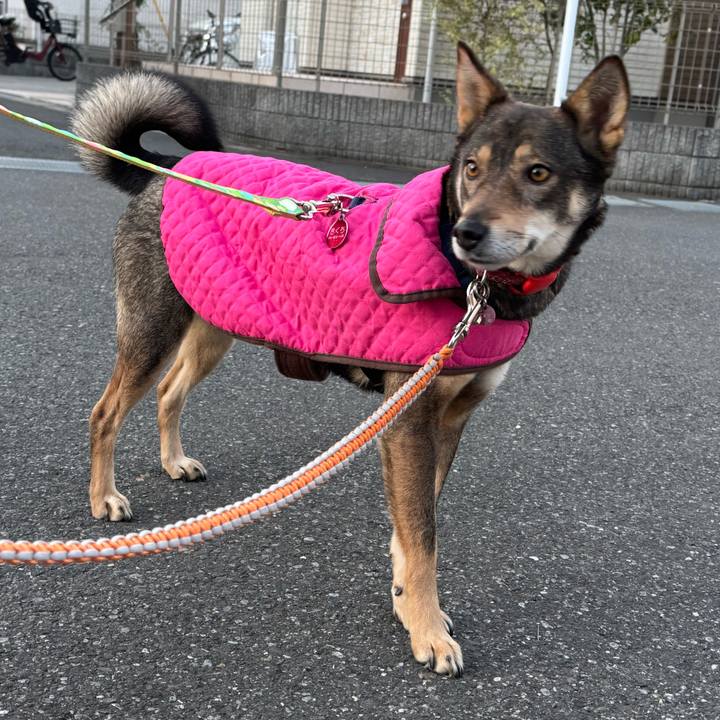 F3c1ee75 acd5 429b 82b6 74337725f5ec 1770726403304