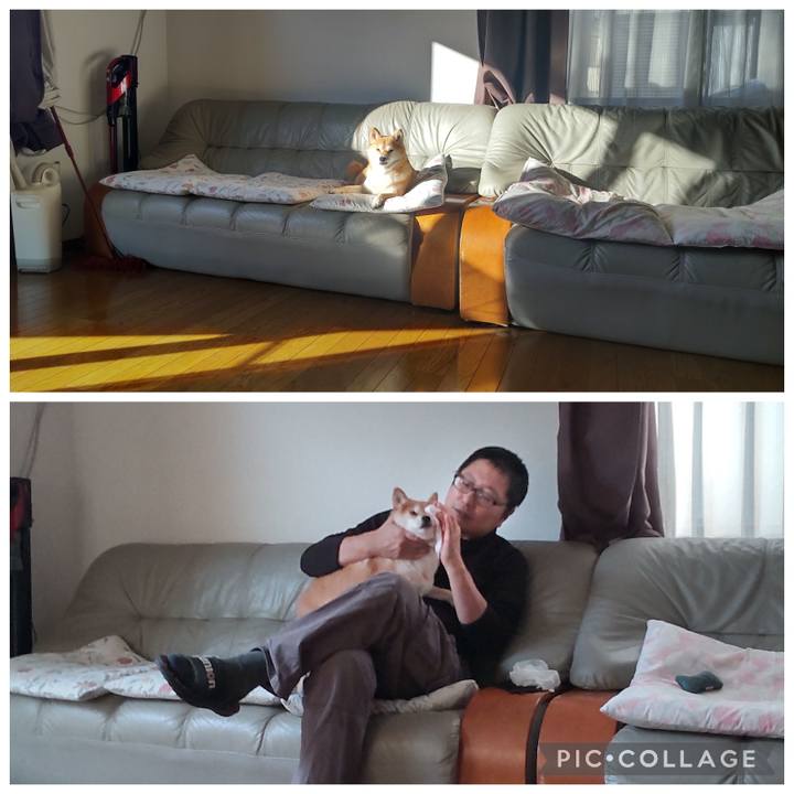 F3c205e0 0fdf 46a7 ac08 03c9db15ff6d 1769127715999