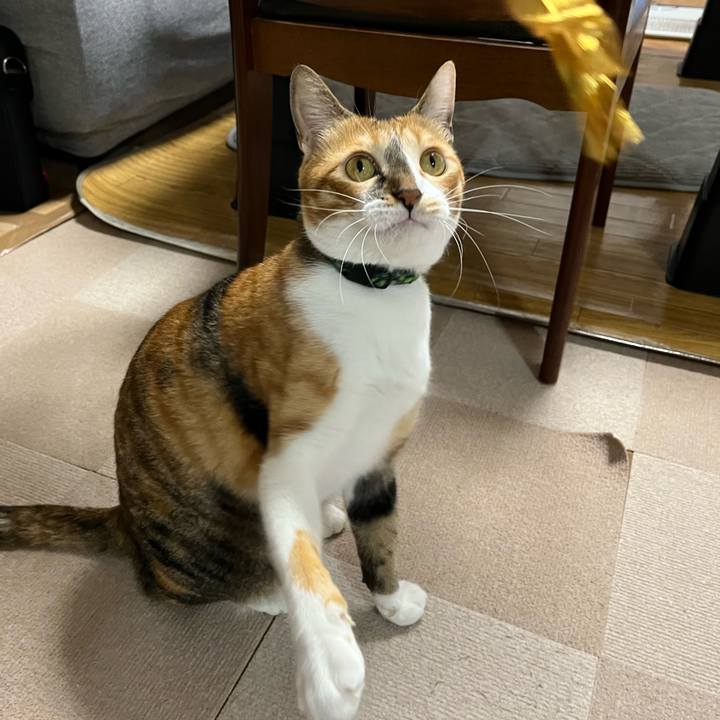 F3c21648 13af 4c01 837e 1a655a3133f9 1758666104959