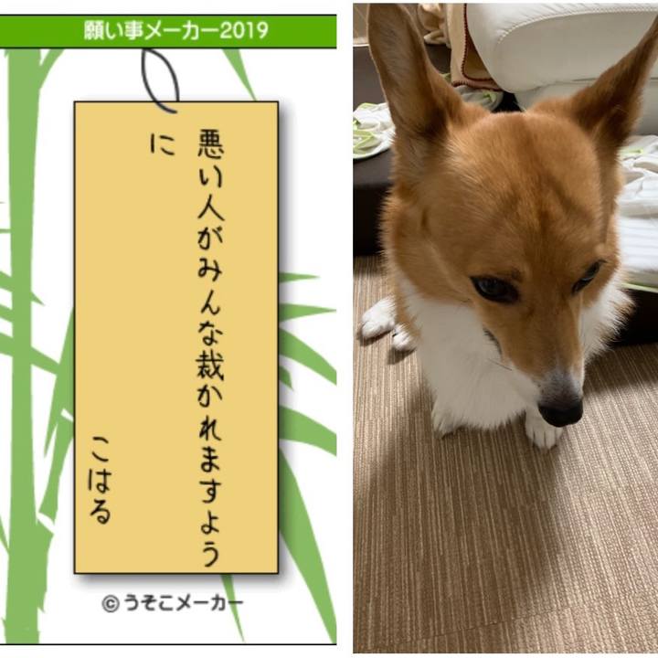 F3c238db 23de 4872 80d1 0a7dc94d4cf7 1562504512858