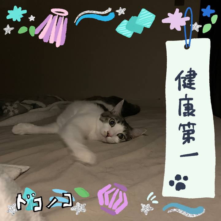 F3c29034 0dba 4792 810f 9aae0780bef6 1721048647519