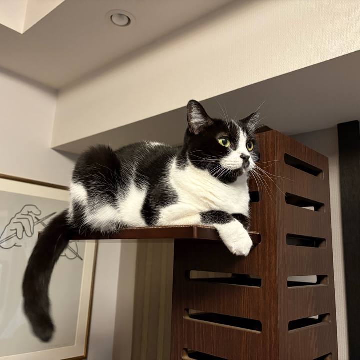 F3c29b5a 6505 4f05 bbad 212cf5831354 1763847866223