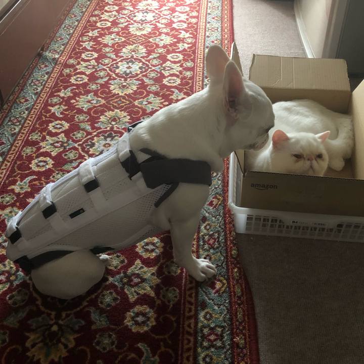 F3c2b560 42fb 4a6d 988e 6521a9cc2b2c 1565919064020