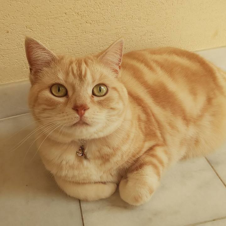 F3c30513 2235 4fd6 8d69 686c9d95bd0c 1554598246175