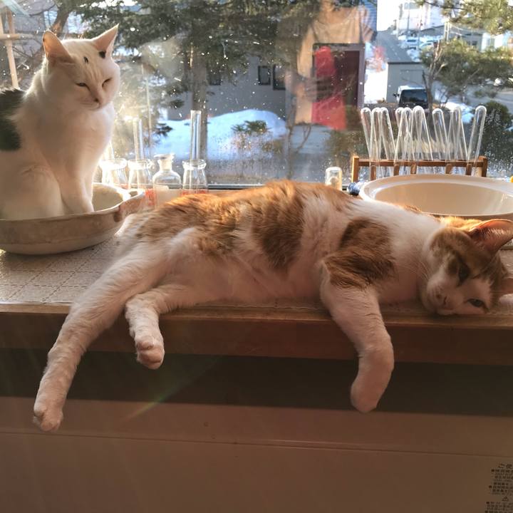 F3c314de e705 40e4 98f7 3acdc6427c99 1616447494056