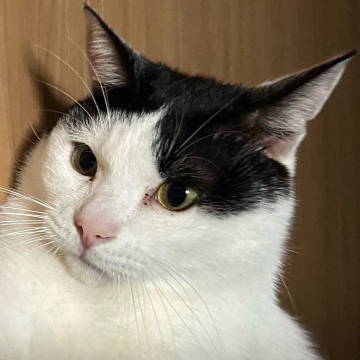 F3c38b64 6525 44db b400 12b1ba70d6c6 1605787594688