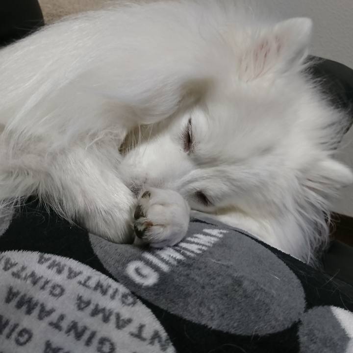 F3c3a334 c9bd 4df7 8343 397ca8d4ba68 1609254038417