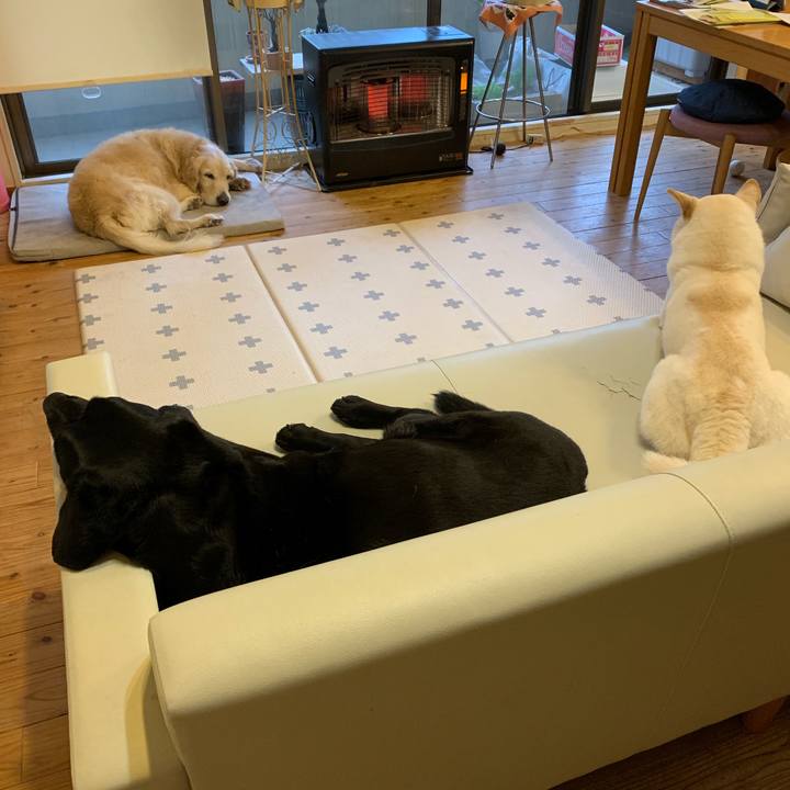 F3c3b834 2a64 4c89 a020 fe4f46f95a96 1551928582584