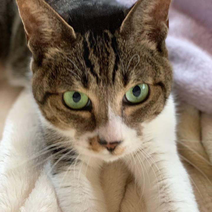 F3c414db 8f97 4ac8 a067 99a908e8e20f 1541810845463