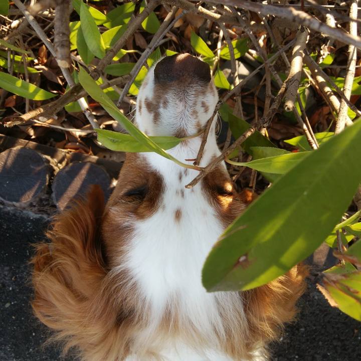 F3c41f4f 0b08 40c0 a775 d55adcfec97c 1531741229029