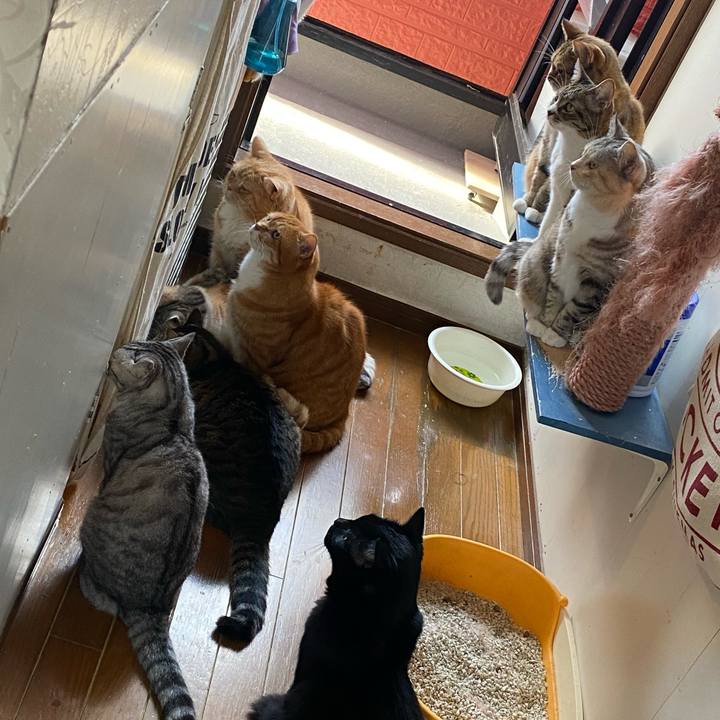 F3c4cd03 1fc6 49e7 b80d fb455549d0d4 1654773877672