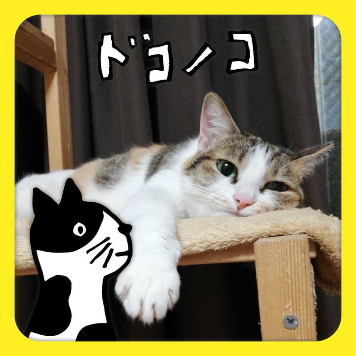 F3c4cf11 58cb 4ed2 9776 42bf47d1e5d0 1622899118319