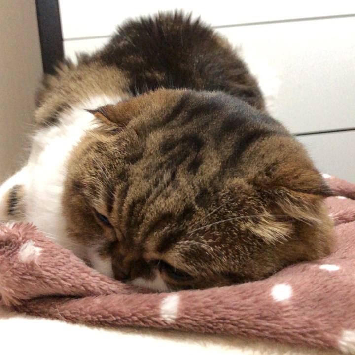 F3c5502d 0e8d 4a69 be30 c7ec6b647dc3 1541744081289