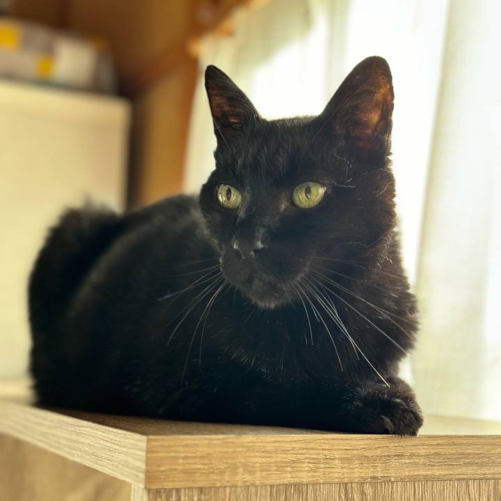 F3c56992 4489 4e8d be42 c51c4839a503 1700361027835